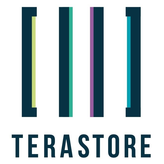 TeraStore logo