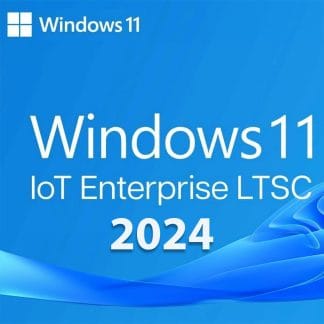Windows 11 IoT Enterprise LTSC 2024 Value